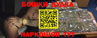 молекула духа Будённовск