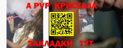 молекула духа Будённовск