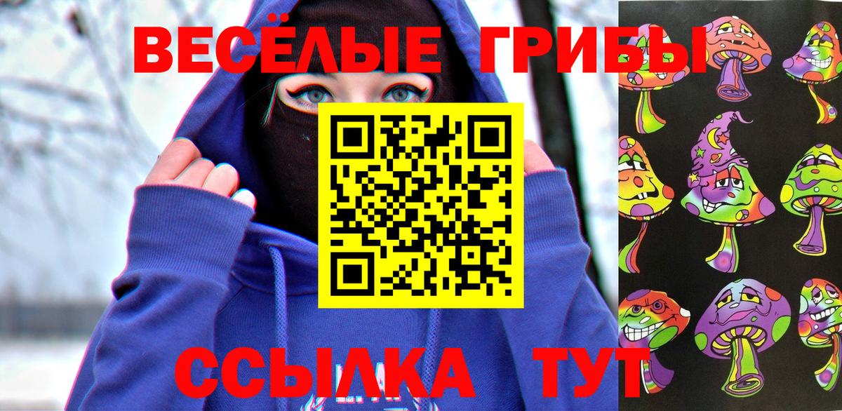Галлюциногенные грибы прущие грибы  где можно купить наркотик  Вход с VPN  Новосибирск  Галлюциногенные грибы прущие грибы 